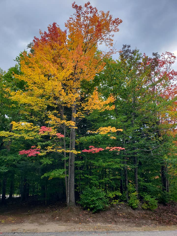 Fall Colors Nordic Village Resort