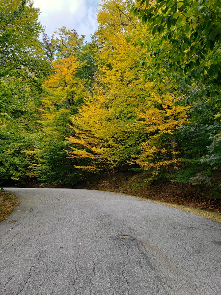 Fall Road Nordic Village Resort