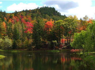 Hiking Trails View 2 Nordic Village Resort