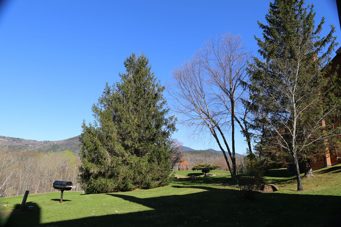 lawn area outside village studio ground level