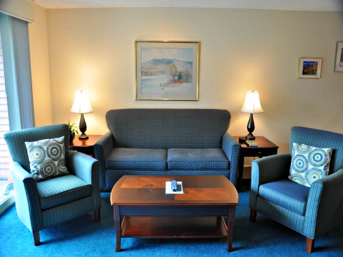nordic village one bedroom condo near pool living room 2