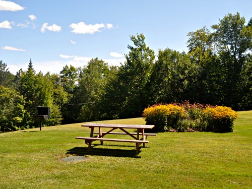 nordic village one bedroom condo near pool grassy area outside with table