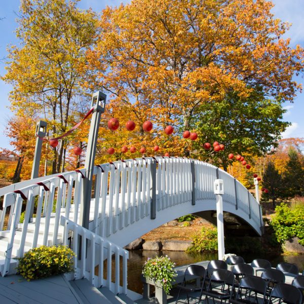 Weddings Bridge Nordic Village Resort